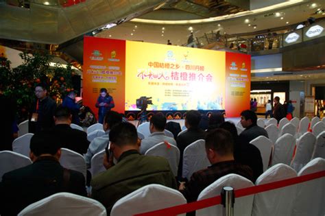 成都品牌營銷推廣大全 整合資源，引爆市場